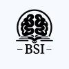 Logo de la société BrainSkill IT