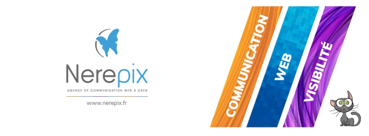 Image de la fiche de l'entreprise NEREPIX