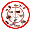 Logo de la société ACTIONS 3D