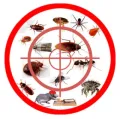 Logo de la société ACTIONS 3D