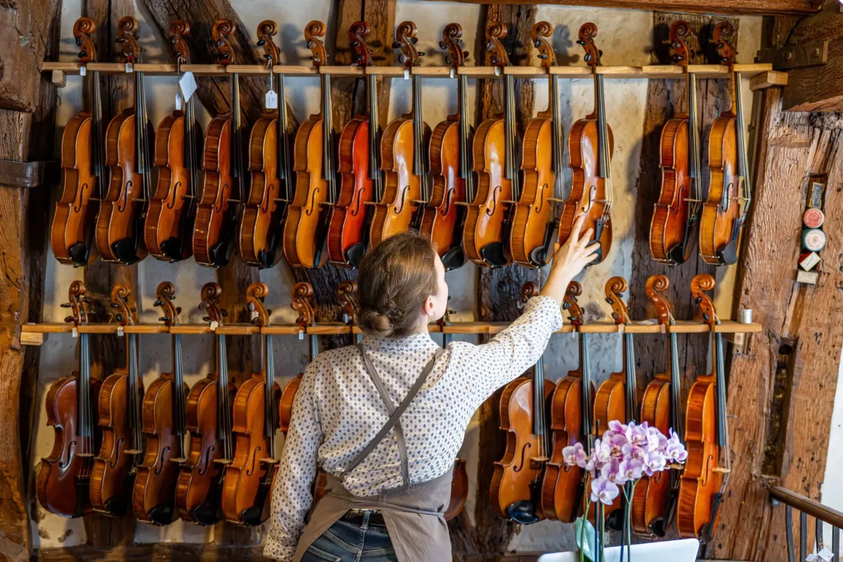 Image de la fiche de l'entreprise Les violons du Robec