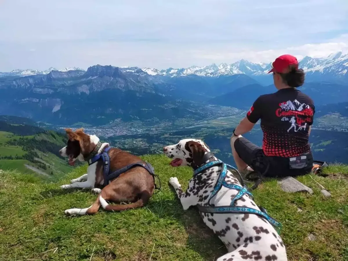 Image de la fiche de l'entreprise Au service des chiens