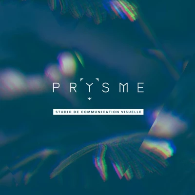 Logo PRYSME