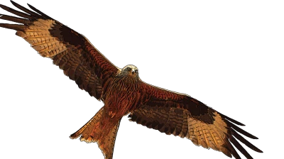 Logo de la société Filanciu Drone