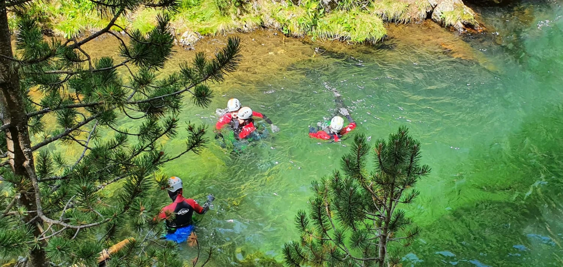 Image de la fiche de l'entreprise Le Plein de Nature