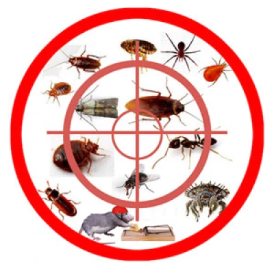 Logo de la société ACTIONS 3D