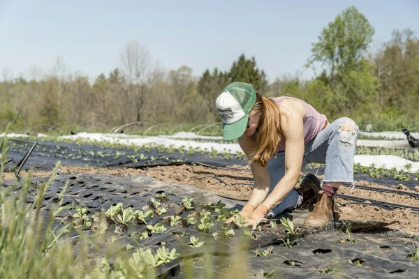 France Territoires, image Agriculteurs