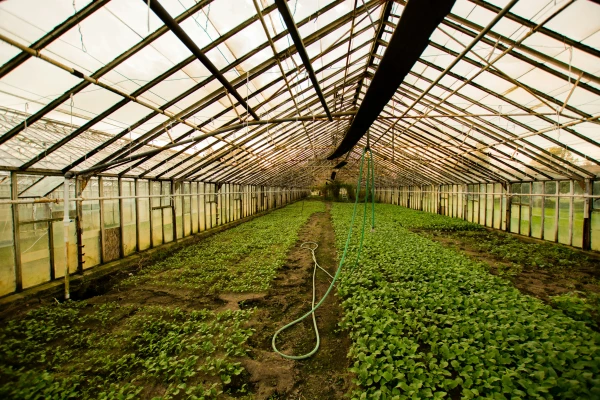 France Territoires, image Horticulteurs