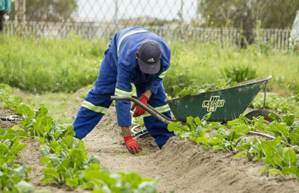 France Territoires, image Jardiniers